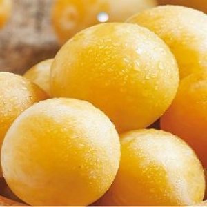 Slivka (Prunus Domestica) ´ŽLTÁ AFASKA´ - neskorá, 160-180 cm, voľnokorenná