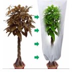 Zimný ochranný vak/návlek na rastliny z agrovlákniny, 50g/m2, (40x40cm) - so sťahujúcou gumičkou