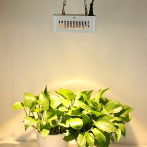 PROFI LED GROW panel pre všetky rastliny so zabudovaným samochladiacim systémom, 115W, 220V, SUNLIGHT+RED