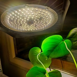 PROFI LED GROW panel pre všetky rastliny, 100W, 220V, sunlight