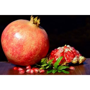 Granatovník púnsky (Punica granatum) ´MOLLAR DE ELCHE´ výška: 150-160 cm, kont. C18L
