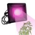 PROFI LED REFLEKTOR pre všetky rastliny, ružová, 50W, 220 V