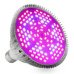 12 W - PROFI LED GROW žiarovka pre všetky rastliny, E27, High-power+, ružová
