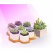 60 cm - LED GROW trubica pre kaktusy a sukulenty, 10W, plné spektrum slabo-ružová