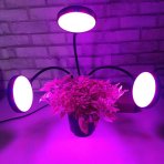 PROFI LED GROW trojramenná lampa na všetky rastliny so zabudovaným časovačom a stmievačom, 15W - plné spektrum