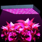 PROFI LED GROW panel pre všetky rastliny, 45W, 230V, ružová