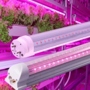 LED GROW trubice