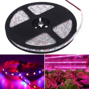 LED GROW pásiky