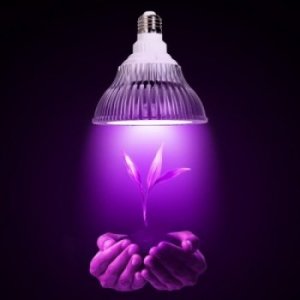 LED GROW žiarovky