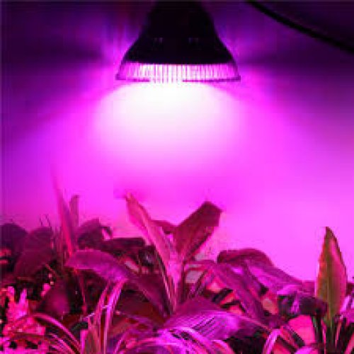 20 W - PROFI LED GROW žiarovka pre všetky rastliny 20W, E27, High-power+ ružová