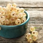 Ríbezľa biela (Ribes rubrum) ´BLANCA´ stredne skorá – výška 70-100 cm, voľnokorenná STROMČEKOVÁ/NA KMIENKU