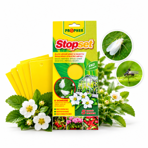Dosky ŽLTÉ lepové veľké do skleníkov 5ks STOPSET