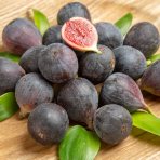 Figovník obyčajný (Ficus carica) ‘NOIRE DE CAROMB’ – výška 50–70 cm, kont. C2L