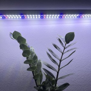 60 cm - LED GROW trubica pre rast rastlín, 10W, plné spektrum - biele svetlo