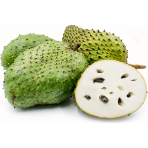 Anona mäkkoostnatá (Guanabana) výška: 120 - 150 cm, kont. C10L