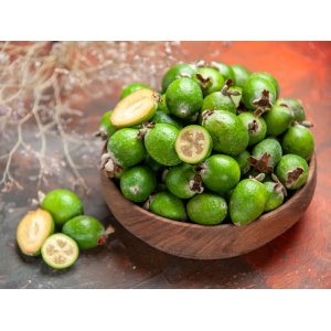 Guava ananásová (Acca Sellowiana Feijoa) - výška 70-90 cm, kont. C7/9L - NA KMIENKU