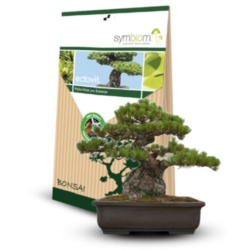 Ectovit - Mykorhízne huby pre bonsaje 100g