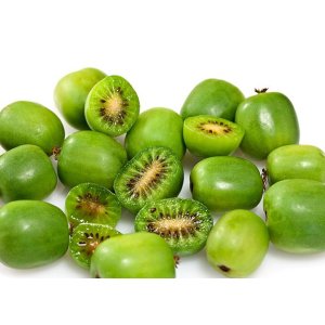 Aktinídia význačná - mini kiwi  (Actinidia arguta) ´SUPER ISSAI´ - výška 30-50 cm, kont. C1L (-26°C)