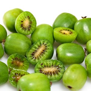 Aktinídia význačná - mini kiwi  (Actinidia arguta) ´ISSAI´ - výška: 30-60 cm, kont. C3L (-26°C)