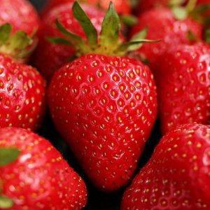Jahoda (Fragaria x ananassa) ´AROMAS´ stálorodiaca - multipaletka (10ks)