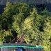 Borievka prostredná (Juniperus x media) ´GOLD STAR´ - výška 30-40cm, kont. C2L