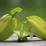 Karambola - Čínska hviezda (Averrhoa carambola) ´ARKIN´ - výška 140-170 cm, kont. C10L