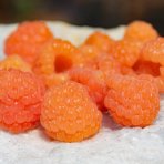 Malina oranžová (Rubus idaeus) ´VALENTINA®´ - výška 5-15 cm, kont. P13