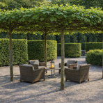 Platan javorolistý (Platanus acerifolia)  výška 270-280 cm, obvod kmeňa 10/12 cm, kont. C55L - STRECHA