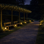 Platan javorolistý (Platanus acerifolia)  výška 270-280 cm, obvod kmeňa 10/12 cm, kont. C55L - STRECHA