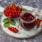 Ríbezľa červená (Ribes rubrum) ´DHOLENDERSKA´ – výška výška 30-50 cm, kont. C2L - KRÍKOVÁ