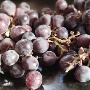 Vinič stolový (Vitis Vinifera) ´KISMIS MOLDAVSKIJ´, koreňový bal