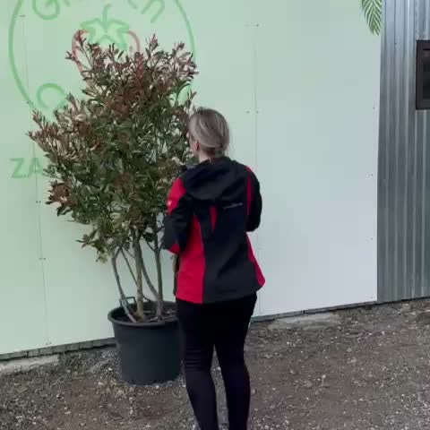 skutočný tvar